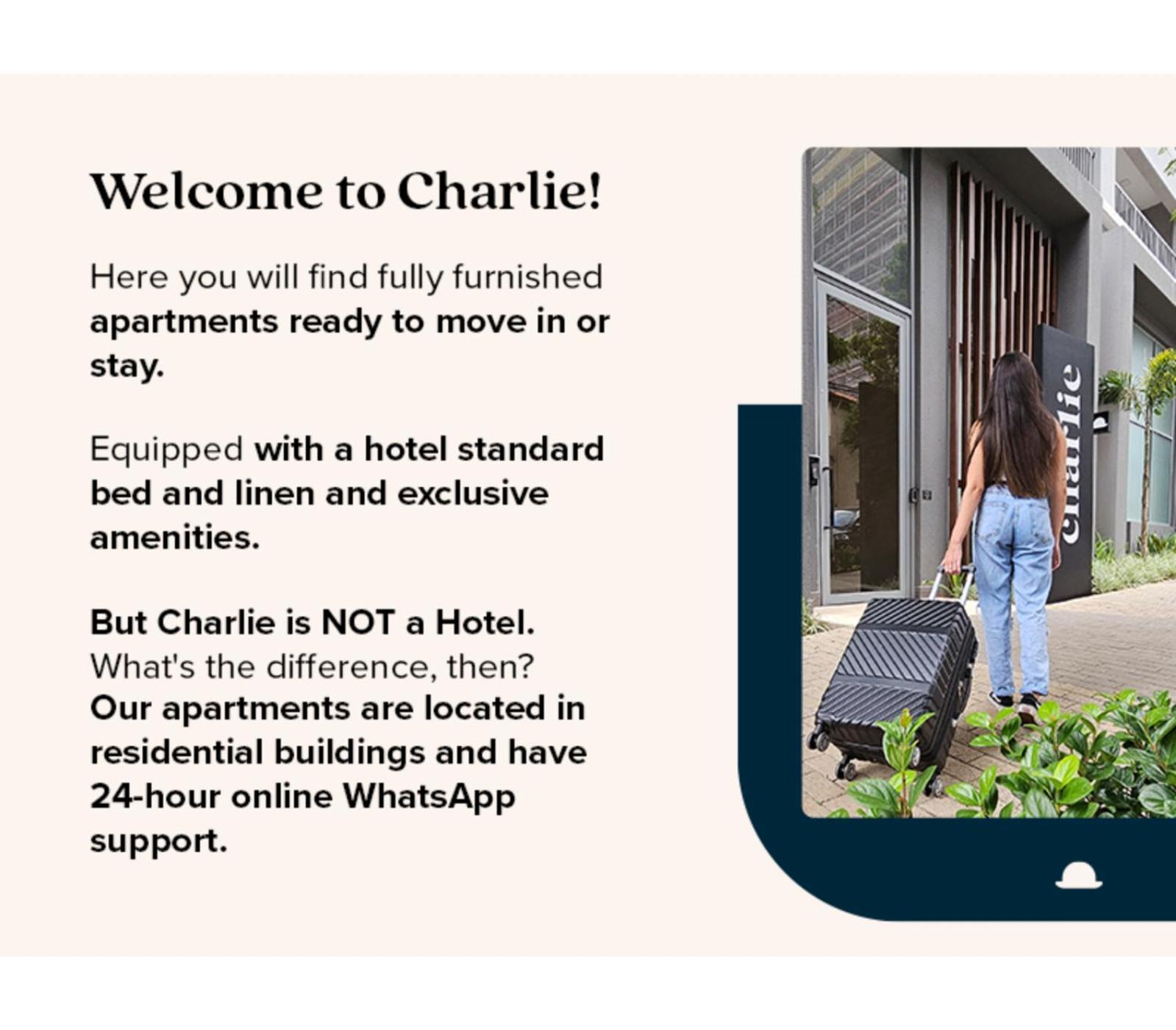 Charlie Contemporaneo Jardins Apartment São Paulo Ngoại thất bức ảnh